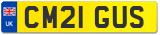 CM21 GUS