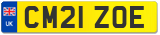 CM21 ZOE