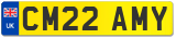 CM22 AMY