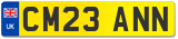 CM23 ANN