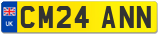 CM24 ANN