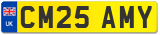 CM25 AMY