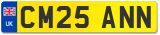 CM25 ANN