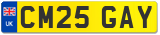 CM25 GAY