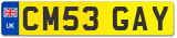 CM53 GAY