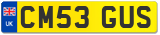 CM53 GUS