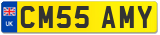 CM55 AMY