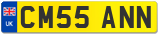 CM55 ANN