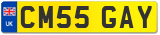 CM55 GAY