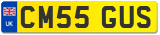 CM55 GUS