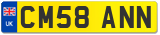 CM58 ANN