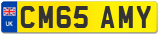 CM65 AMY