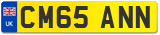 CM65 ANN