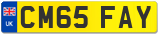 CM65 FAY