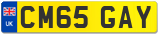 CM65 GAY