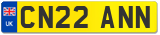 CN22 ANN