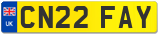 CN22 FAY