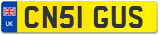 CN51 GUS