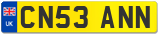 CN53 ANN