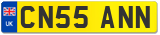 CN55 ANN