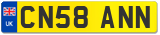 CN58 ANN