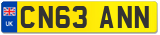 CN63 ANN