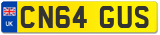 CN64 GUS