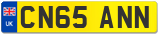 CN65 ANN