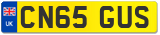 CN65 GUS