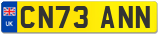 CN73 ANN