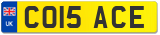 CO15 ACE