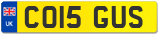 CO15 GUS