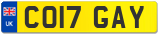 CO17 GAY