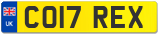 CO17 REX