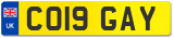 CO19 GAY