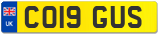 CO19 GUS