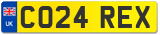 CO24 REX