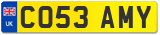 CO53 AMY