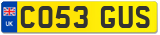 CO53 GUS