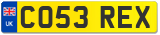 CO53 REX