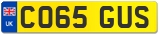 CO65 GUS