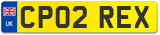 CP02 REX