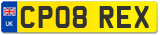 CP08 REX