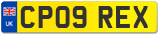 CP09 REX