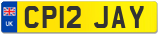 CP12 JAY