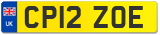 CP12 ZOE