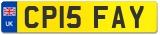 CP15 FAY