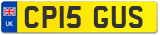 CP15 GUS