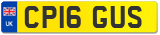 CP16 GUS