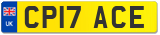 CP17 ACE